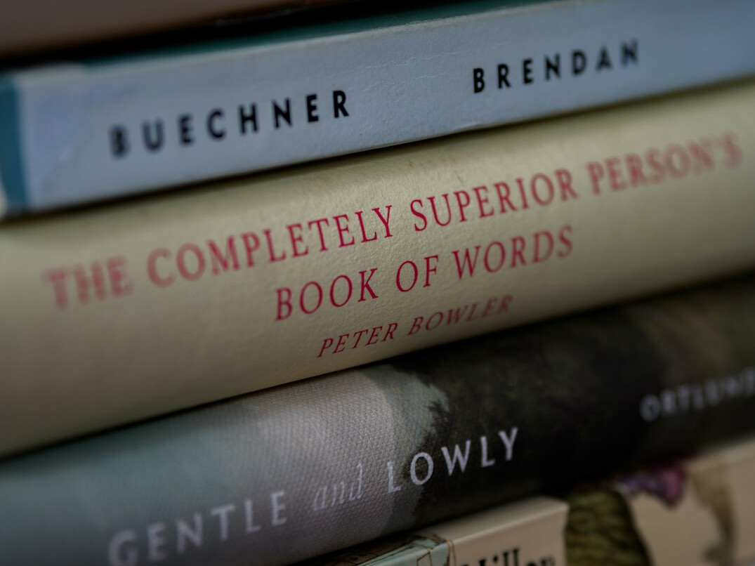 suspenseful book cover